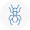 Ant Removals In Colchester
