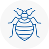 Bed Bug Extermination In Colchester