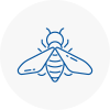 Bee Nest Removal Colchester