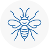 Colchester Hornet Nest Removals
