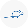 Mice Exterminators In Colchester