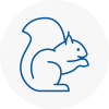 Colchester Rodent Removals